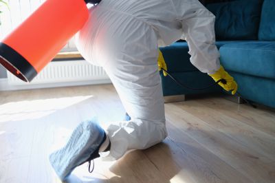 Fumigation Service in Wilmington, DE