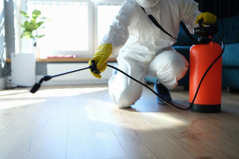 Insect Extermination Service in Frisco, TX