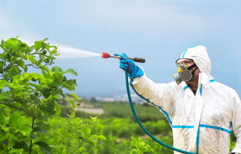 Pest Fumigation Service in Woodbridge, VA