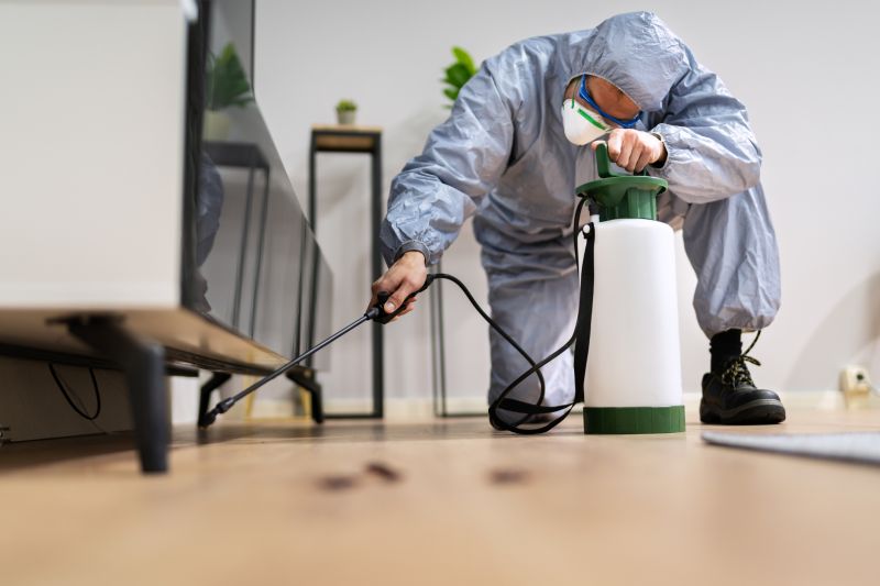 Rat Fumigation Service in Madison, WI