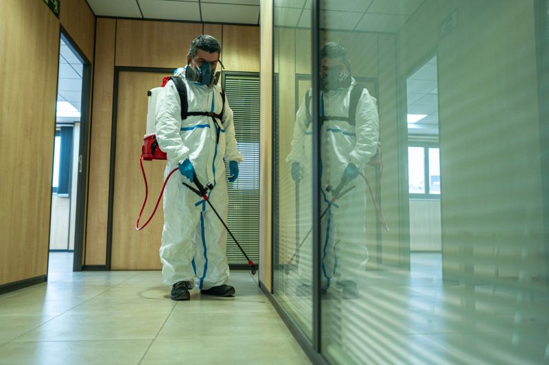 Rat Fumigation Service in Fort Myers, FL