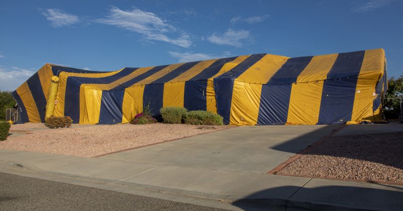 Termite Tenting in Wilmington, DE