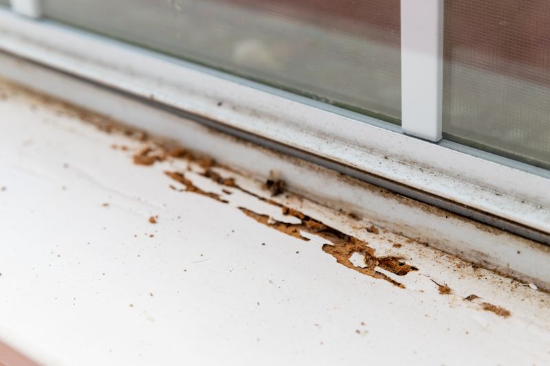 Wdir Inspection Service in Frisco, TX