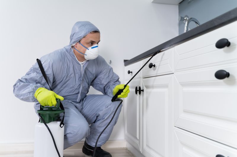 Yard Insect Treatment in Frisco, TX