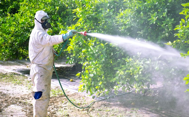 Commercial Fumigation in Phoenix, AZ