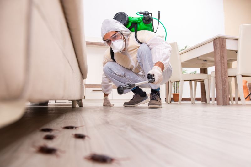 Moth Extermination in Katy, TX